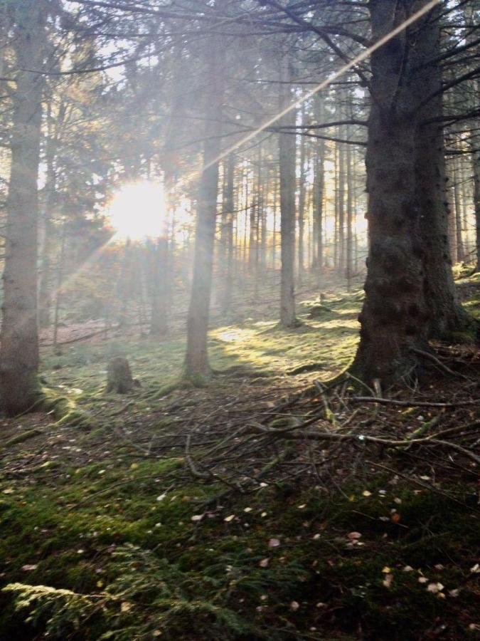 ホテル Waldnest Odenwald エクステリア 写真
