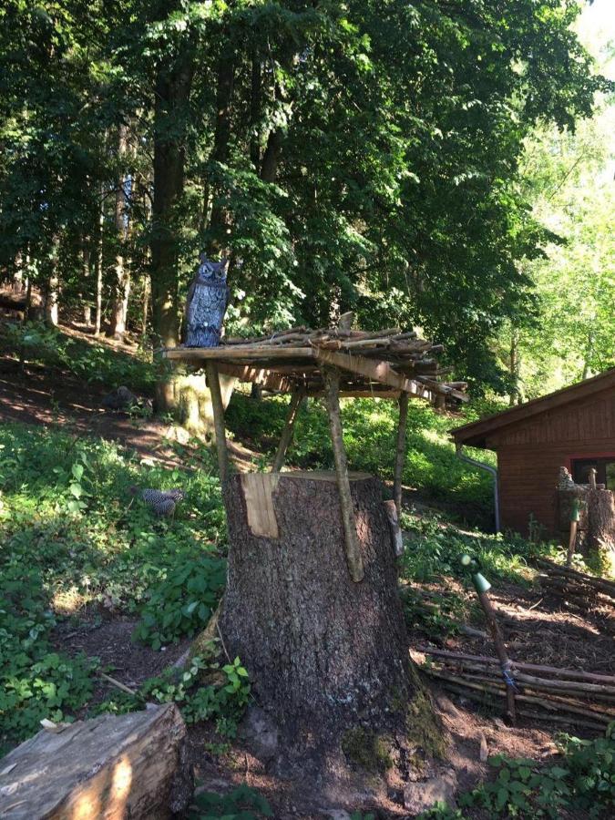 ホテル Waldnest Odenwald エクステリア 写真