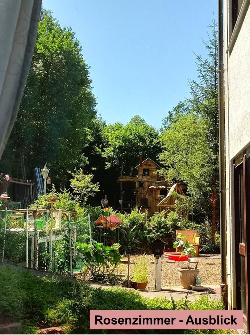 ホテル Waldnest Odenwald エクステリア 写真