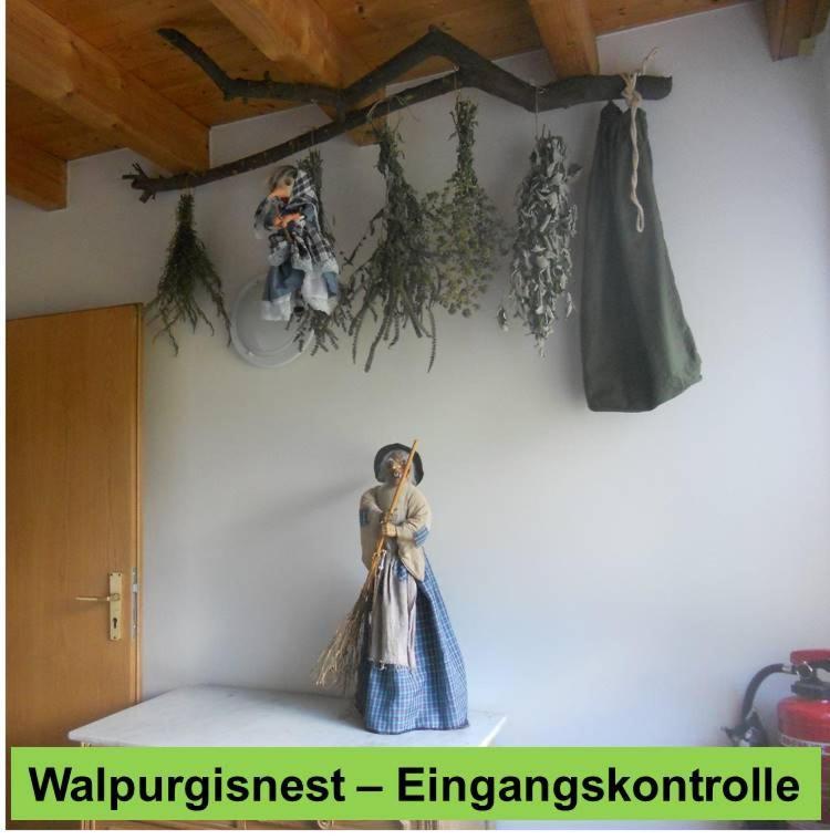 ホテル Waldnest Odenwald エクステリア 写真